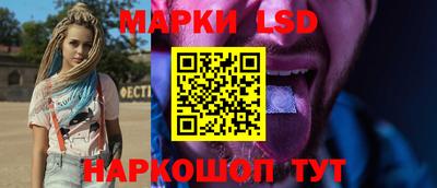 apvp Гатчина