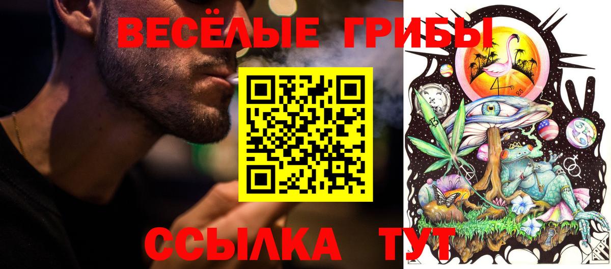 Галлюциногенные грибы GOLDEN TEACHER  Псилоцибиновые грибы MAGIC MUSHROOMS  цены   Вход с VPN  Новоалтайск 
